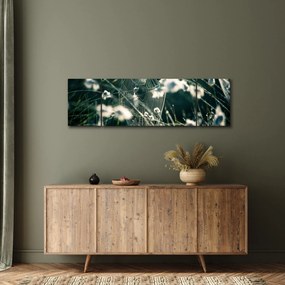 Obraz - Pajęczyna (170x50 cm)