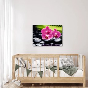 Obraz - Różowe orchidee z liściem palmy (70x50 cm)