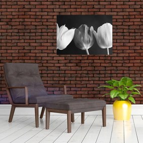 Obraz na szkle - Czarno - białe kwiaty tulipanów (70x50 cm)