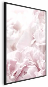 Plakat Puszyste peonie 21x30 cm z ramą czarną bez marginesu ARTGEIST B