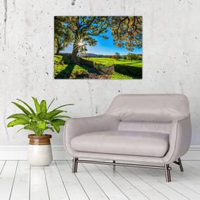 Obraz - widok pola (70x50 cm)