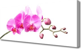 Obraz canvas Harmonijny Bukiet Ścienny