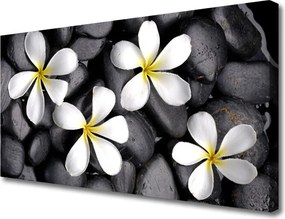 Obraz na płótnie Pastelowe Kwiaty w Rozkwicie