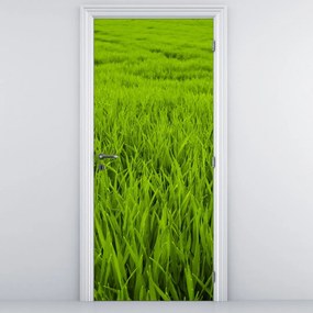 Fototapeta na drzwi - Trawa (95x205cm)
