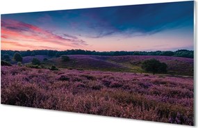 Panel Kuchenny Szklany Pejzaż z Wrzosami