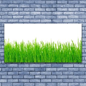 Obraz canvas na ścianę Naturalna Gęstwina Trawy