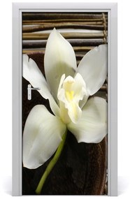 Okleina Naklejka fototapeta na drzwi Orchidea