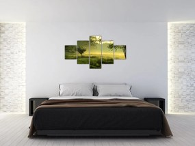 Obraz - Budzący się las (125x70 cm)