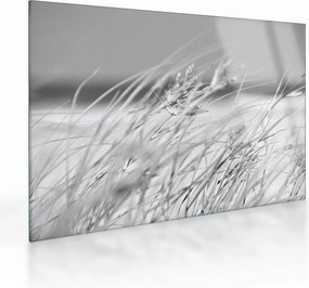 Obraz na szkle - Trawa plażowa (70x50 cm)