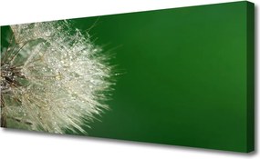 Obraz na płótnie Puszysty Mniszek Lekarski