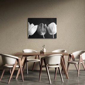 Obraz - Czarno - białe kwiaty tulipanów (70x50 cm)