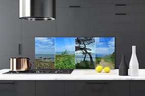 Szkło Dekoracyjne do Kuchni Samotne Drzewo Na Plaży