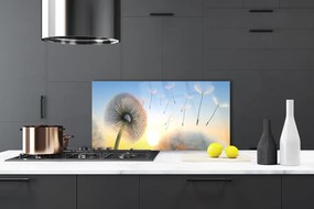 Panel Szklany Puszyste Parasolki Dmuchawca