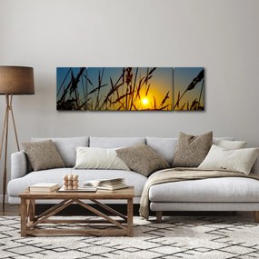 Obraz - Zachód słońca na łące (170x50 cm)