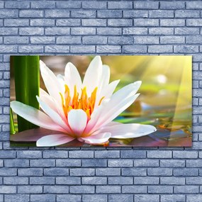 Obraz na płótnie Pełnia Letniego Rozkwitu