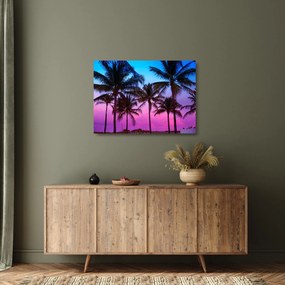 Obraz na szkle - Palmy w Miami (70x50 cm)