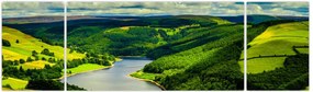 Obraz - Zielony krajobraz (170x50 cm)