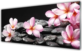 Szkło do Kuchni na Ścianę Egzotyczny Kwiat Plumerii