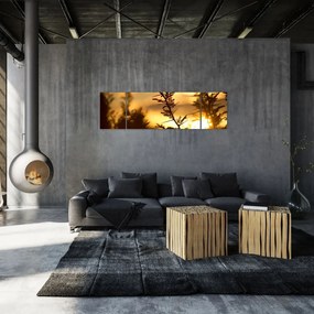 Obraz - słońce zachodzące za drzewami (170x50 cm)