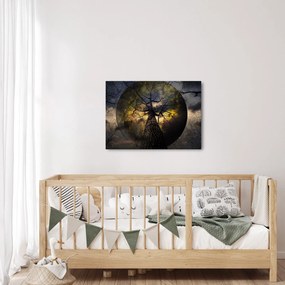 Obraz - Tajemnicze niebo (70x50 cm)