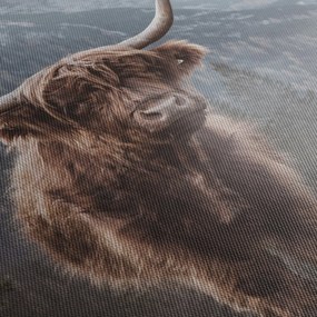 Obraz - Krowa góralska (170x50 cm)
