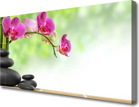 Obraz canvas Harmonijny Bambus w Spa