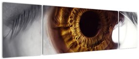 Obraz - Oko (170x50 cm)