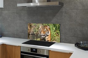 Panel szklany do Kuchni Tygrys na Leśnej Ścieżce