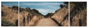 Obraz - Na szlaku (170x50 cm)