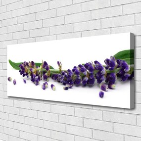 Obraz canvas Rustykalny Bukiet Lawendy