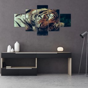 Obraz - tygrys syberyjski (125x70 cm)