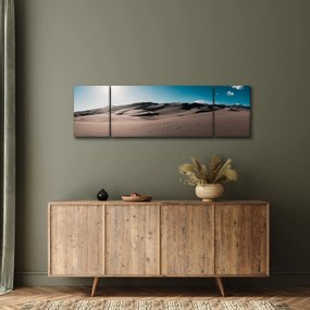 Obraz - Z pustyni (170x50 cm)