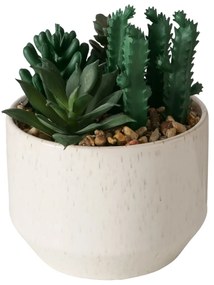 Sztuczna roślinka SUCCULENT, 12 cm
