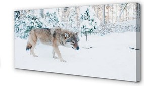 Obraz drukowany na płótnie Zimowa Sceneria z Wilkiem