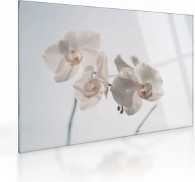 Obraz na szkle białej orchidei (70x50 cm)