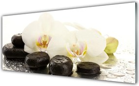 Panel Szklany Równowaga: Kwiat i Gładki Kamień