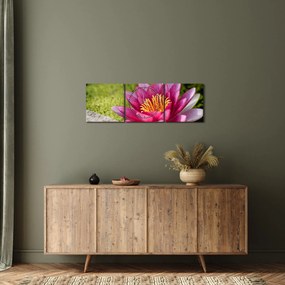 Obraz - Lilia wodna (z zegarem) (90x30 cm)