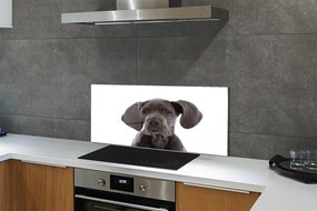 Panel szklany do Kuchni Portret Brązowego Psa