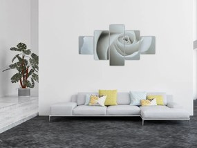 Obraz - Biała róża (125x70 cm)