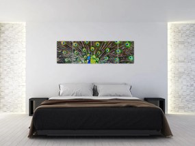 Obraz - Paw (170x50 cm)