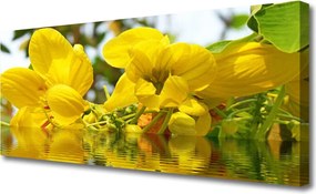 Obraz canvas Świeżość Wiosennej Natury