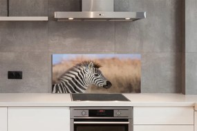 Panel szklany do Kuchni Spojrzenie Dzikiej Zebry