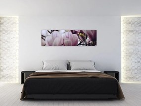 Obraz - Magnolia (170x50 cm)