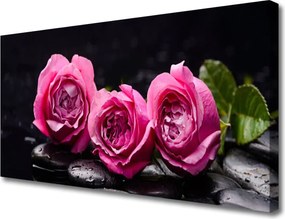 Obraz canvas Harmonia Róż i Kamieni Zen