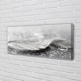 Obraz canvas na ścianę Delikatne Krople na Piórku