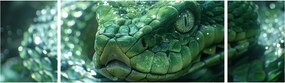 Obraz - Portret węża (170x50 cm)