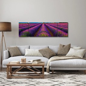Obraz - Pole lawendy (170x50 cm)
