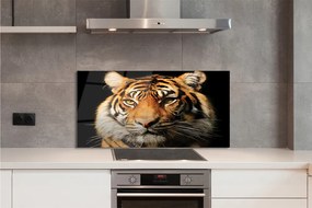 Panel szklany do Kuchni Skradający się Drapieżnik