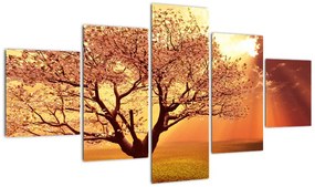 Obraz promieni Boga (125x70 cm)