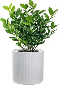 Okrągły, cylindryczny wazon z żywicy do roślin doniczkowych i ogrodowych, 36x35 cm, wzór Modigliani White